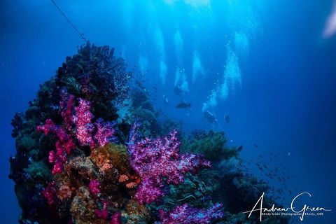 Scuba Dive The S.S. Yongala Wreck On The Great Barrier Reef. - Newcastle Accommodation 2
