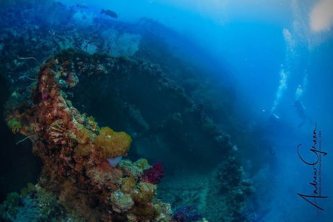 Scuba Dive The S.S. Yongala Wreck On The Great Barrier Reef. - Newcastle Accommodation 3