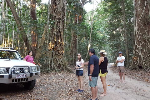 Great Beach Drive 4WD Tour - Private Charter From Noosa To Rainbow Beach - Newcastle Accommodation 1