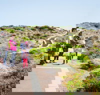 Margaret River Coastal and Wildlife Eco Trip from Busselton or Dunsborough - Newcastle Accommodation